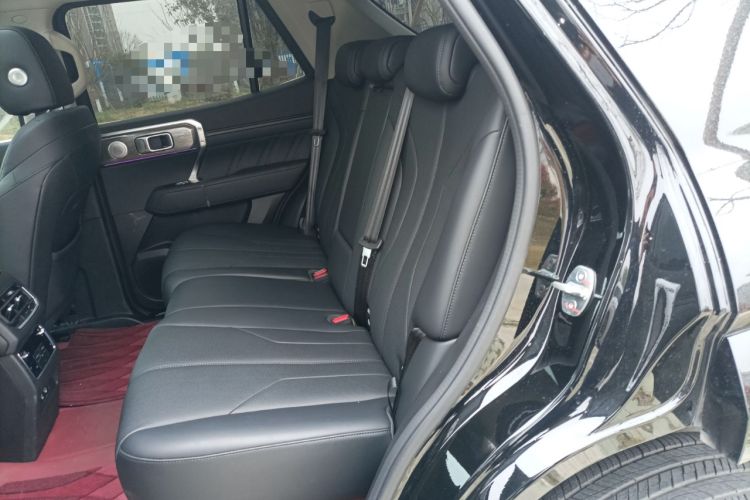 Used Tank 400 2025 2.0T Gasoline Version
