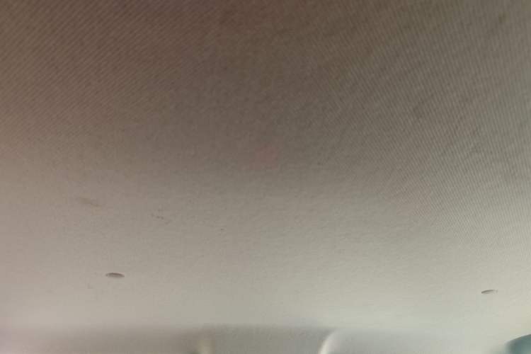 Used CHANGAN OSHAN X70A 2019 1.5L Manual Basic Version China VI Standard Headliner