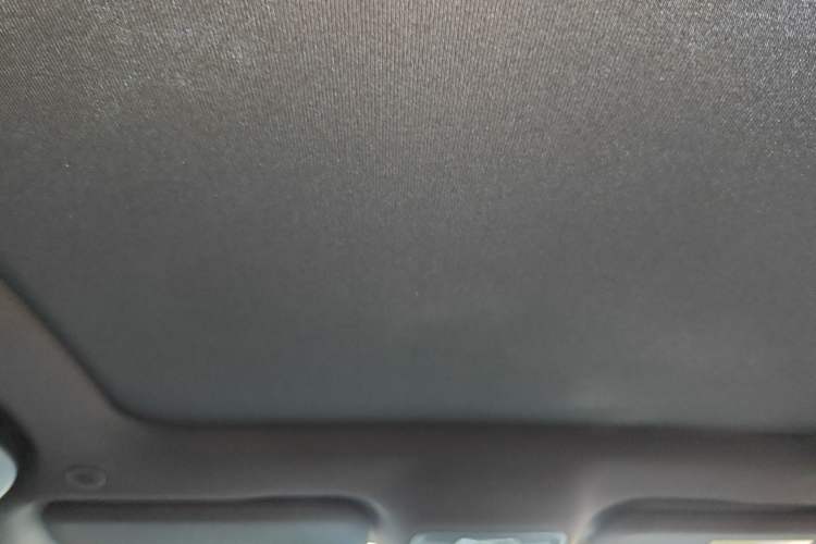 Used BYD Dolphin 2024 Honor Edition 420km Fashion Version Headliner