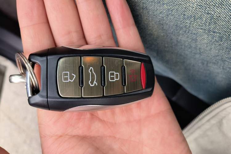 Used ORA Black Cat 2019 351 km Family Edition Vehicle Key