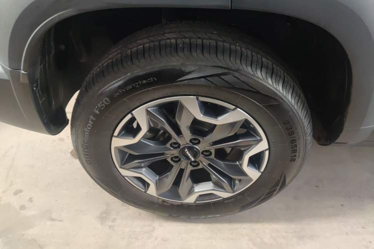 Used Haval DARGO 2024 2.0T DCT Chinese Rural Dog Edition
