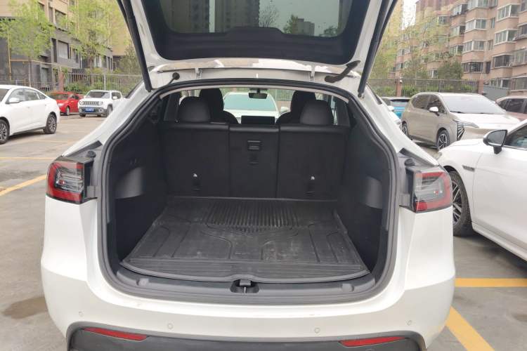 Used Tesla Model Y 2021 Standard Range Rear-Wheel Drive Version
