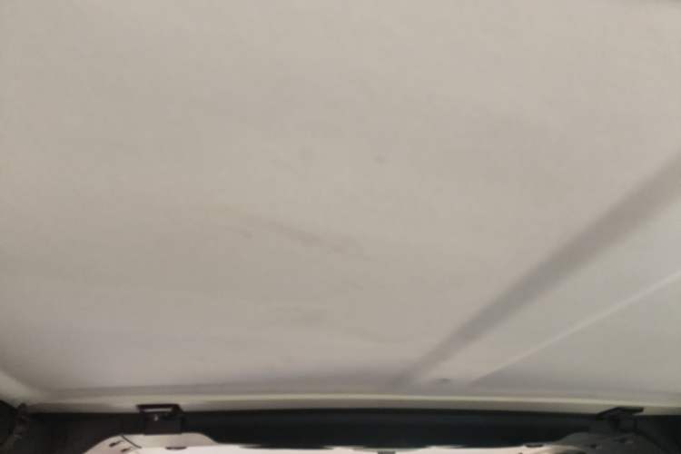 Used BAIC Off-Road BJ40 2020 2.0T Automatic Four-Wheel Drive Tribute Edition 2020 Xieke Version Headliner