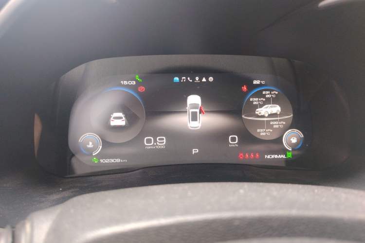 Used Wey VV6 2020 2.0T Two-Wheel Drive Smart Protection+