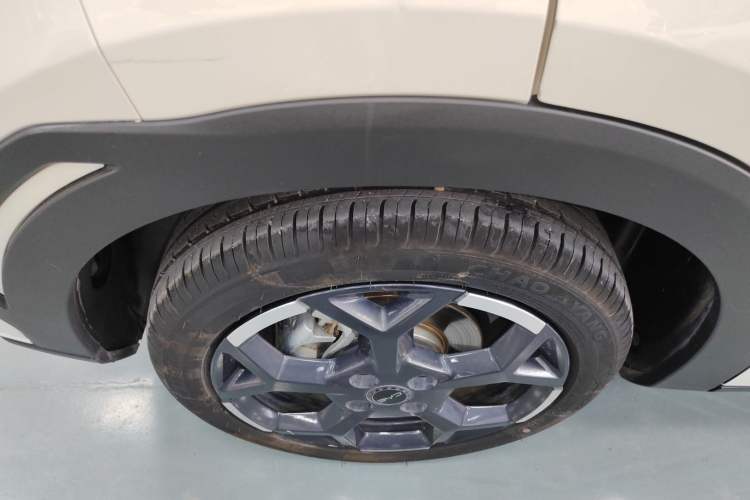 Used BYD Seagull 2025 305 km Free Version