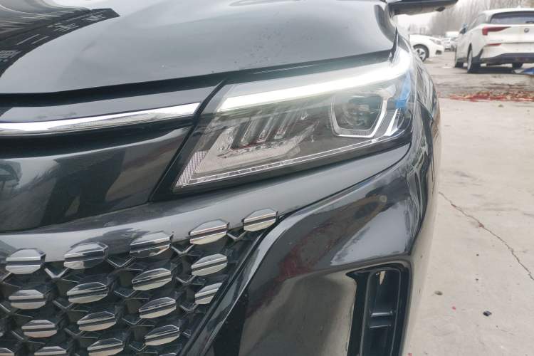 Used Landian E5 2024 Honor Edition 100KM Deluxe 7-Seater
