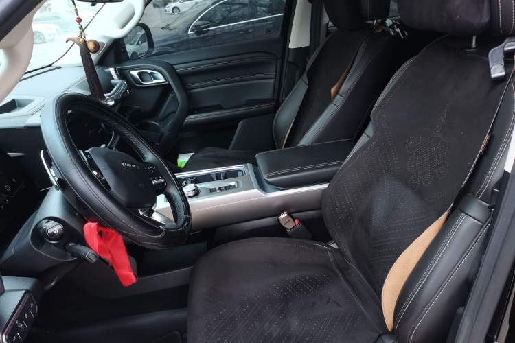 Used Haval DARGO 2024 2.0T DCT Chinese Rural Dog Edition
