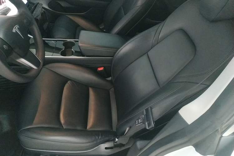 Used Tesla Model 3 2019 Standard Range Rear-Wheel Drive Upgraded Version (60 kWh)