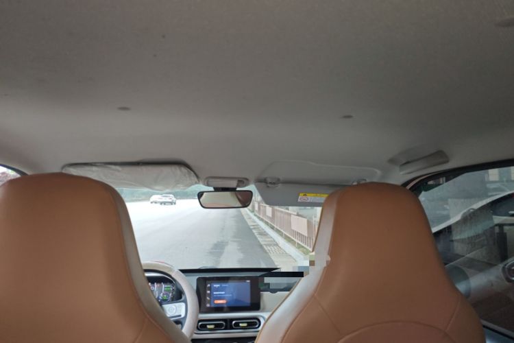 Used Wuling Hongguang MINIEV 2024 3rd Generation 215km Youth Edition Headliner