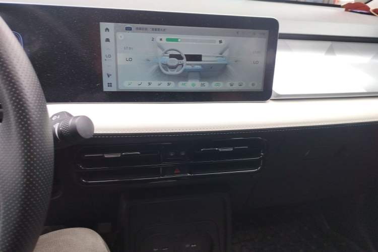 Used Geometry E Firefly 2023 320KM Cute & Handsome Tiger 5 Seats