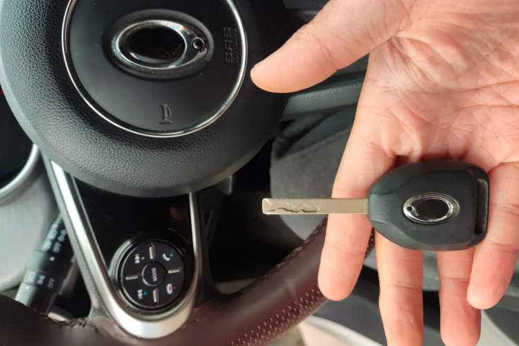 Used ORA Black Cat 2019 310km Fun Edition
