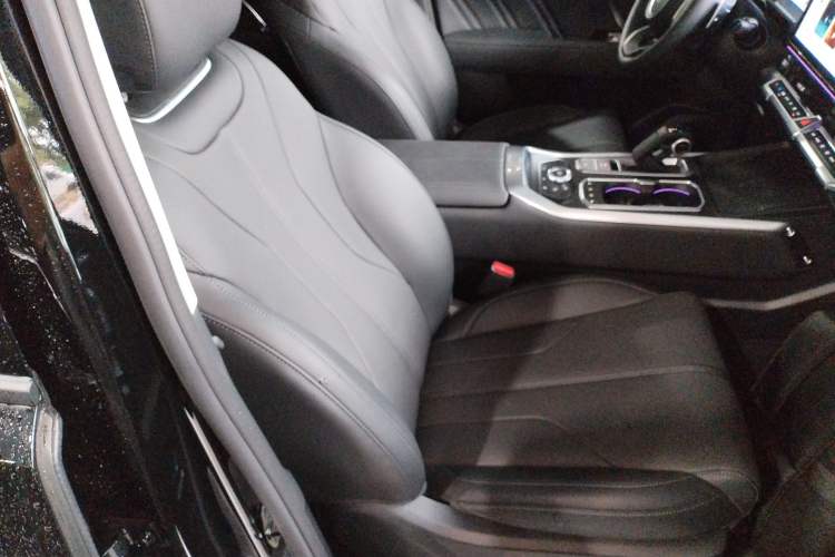 Used Tank 400 2025 2.0T Gasoline Version
