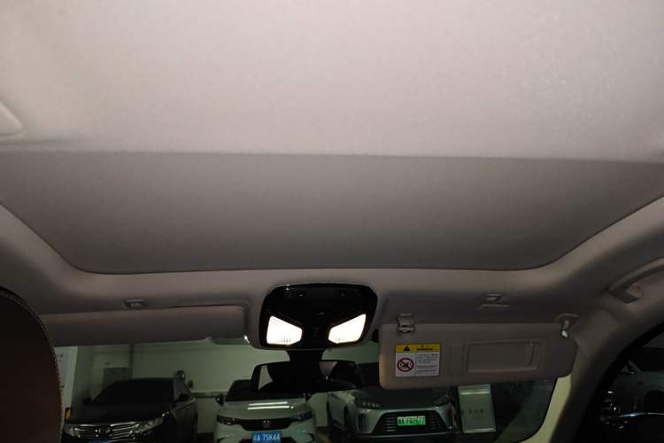 Used BMW 5 Series New Energy 2019 530Le Luxury Package
