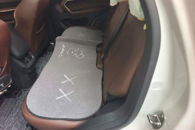 Used Haval H6 2019 Red Label 1.5 GDIT Automatic Luxury Smart Connectivity Edition Left Rear Seat