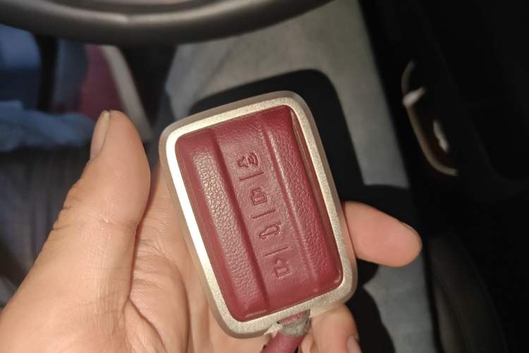 Used Tank 500 2022 3.0T Sport Edition "Creation" Version 5-Seater