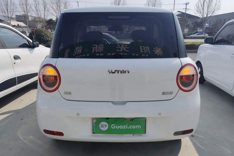 Used Qiyuan Lumin 2022 210km Sweet Edition
