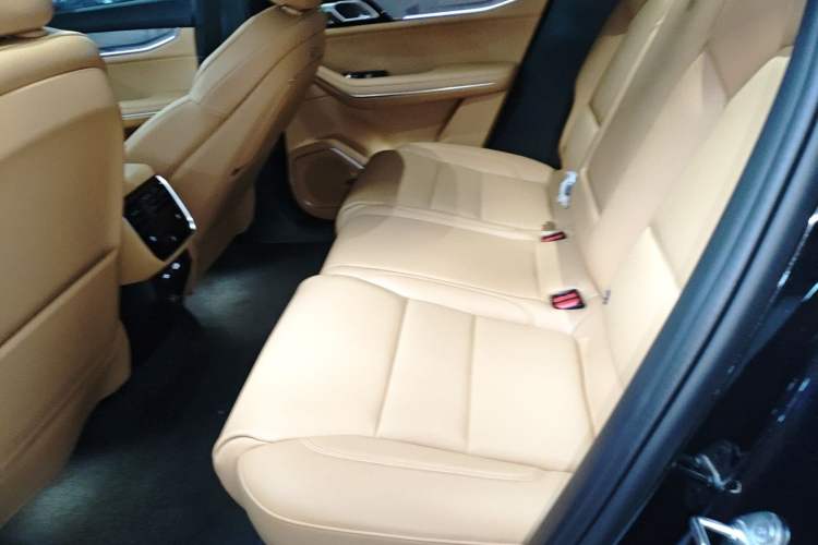 Used Lynk & Co 09 EM-P 2025 2.0TD EM-P Four-Wheel Drive Max Five Seats Left Rear Seat