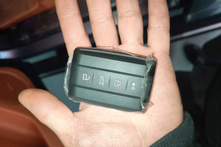 Used Tank 700 New Energy 2024 Hi4-T Extreme Edition Interior 1