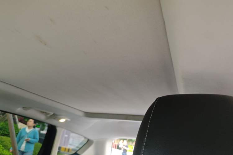 Used Ford Kuga 2013 2.0L GTDi Four-Wheel-Drive Sport Model Headliner