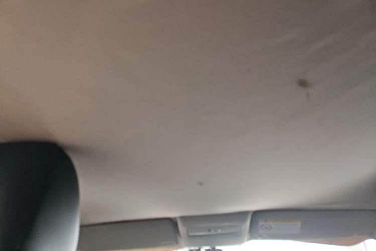 Used Volkswagen Polo 2014 1.6L Automatic Comfort Edition Headliner