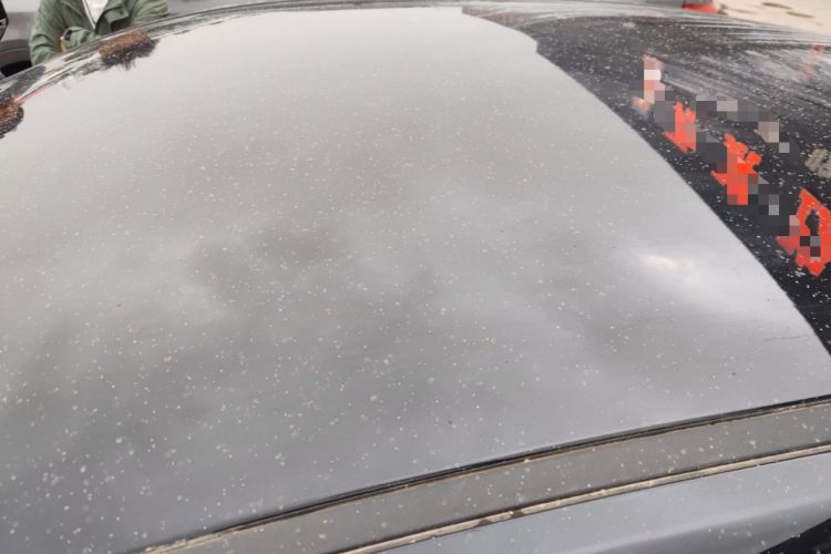 Used Hongqi E-QM5 2021 Charging Version Flagship Edition
