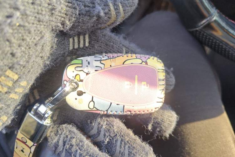 Used Chevrolet Orlando 2019 Redline 530T Automatic Enjoyment Version (5+2 Seating) China VI Vehicle Key