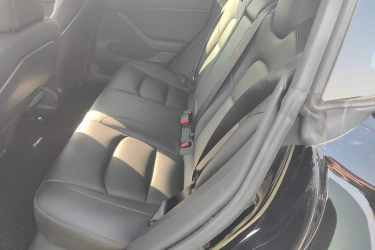 Used Tesla Model 3 2021 Standard Range Rear-Drive Upgraded Version