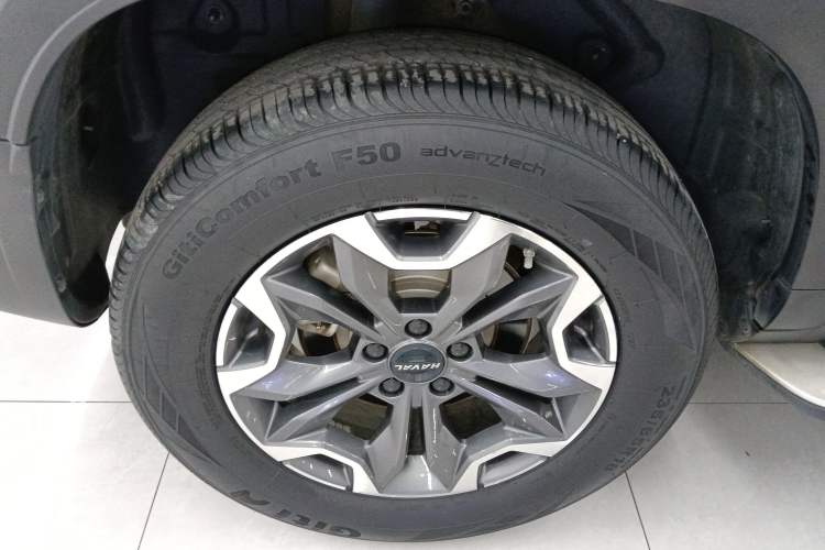 Used Haval DARGO 2021 2.0T DCT 4x4 Chinese Rural Dog Edition