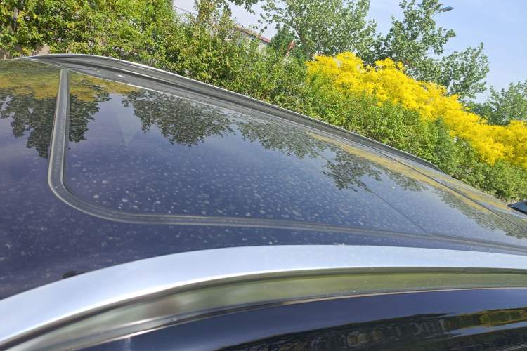 Used GAC Trumpchi GS8 2024 Linghang Series 2.0 TGDI Two-Wheel Drive Luxury Smart Connectivity Version