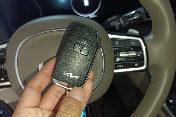 Used Kia Carnival 2021 2.0T Flagship Edition
