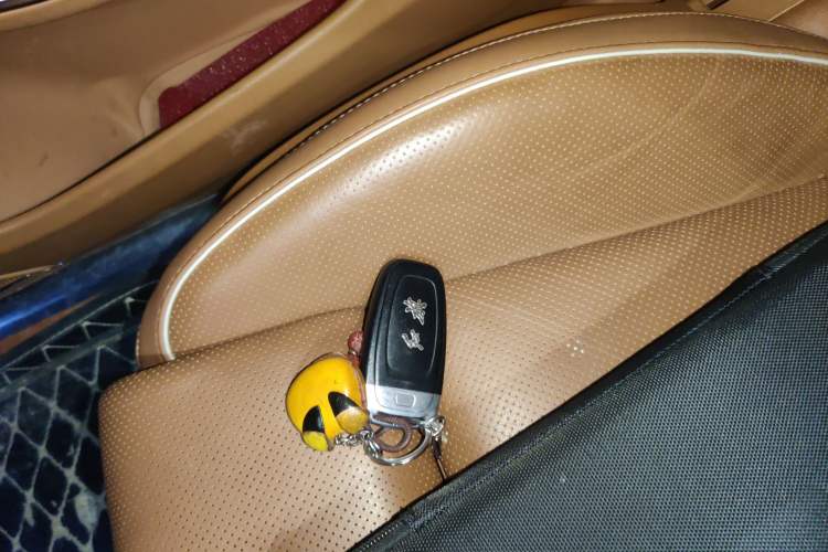 Used Hongqi H9 2020 2.0T Smart Connect Flagship Edition