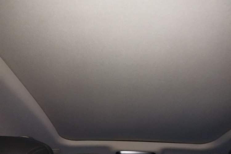 Used Hongqi H9 2020 2.0T Smart Connect Flagship Edition