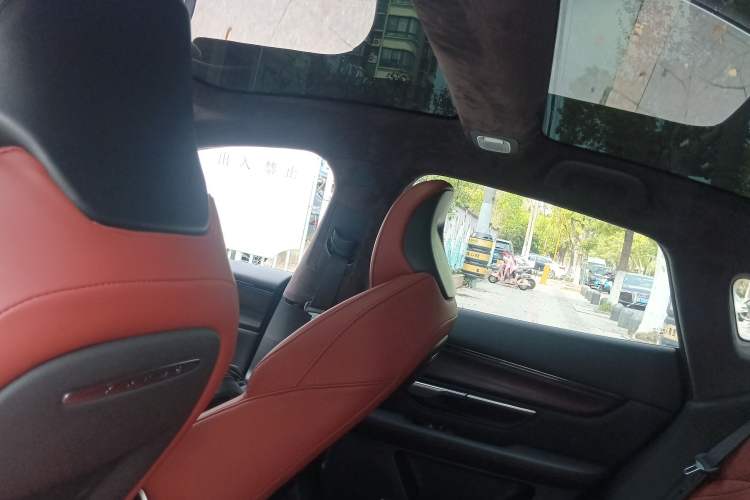 Used XPeng P7 2020 562E Performance Edition Headliner