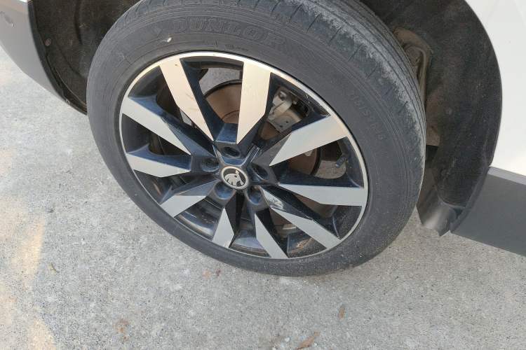 Used Skoda Karoq 2019 TSI280 SmartDrive Luxury Edition China V Standard