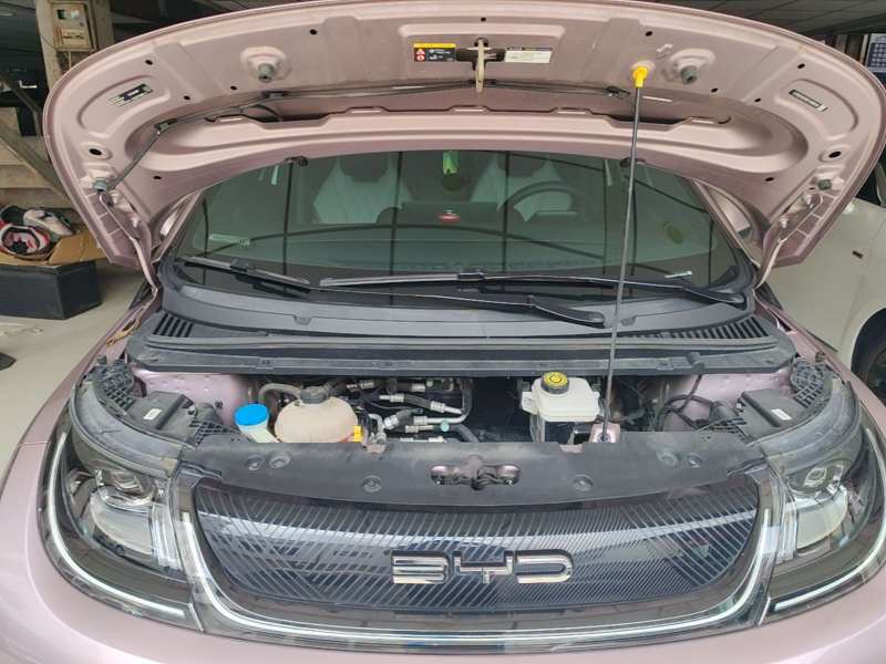 Used BYD Dolphin 2023 420 km Fashion Edition — 19
