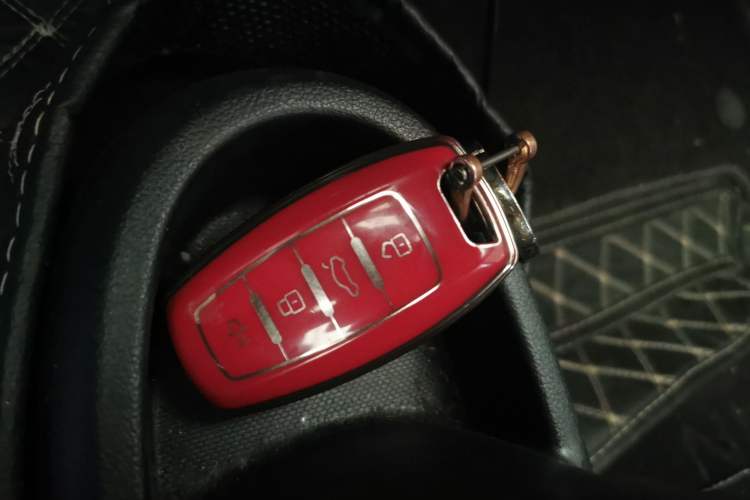 Used ORA Black Cat 2021 301 km Basic Version Vehicle Key