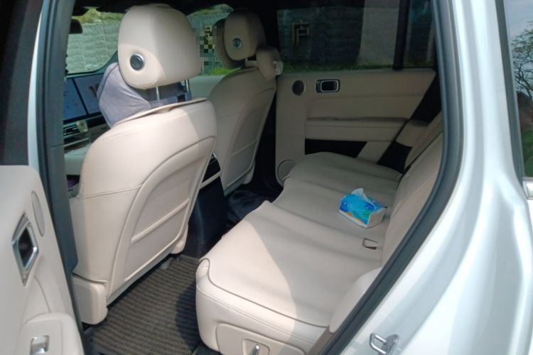 Used Li Auto L6 2024 Max Left Rear Seat