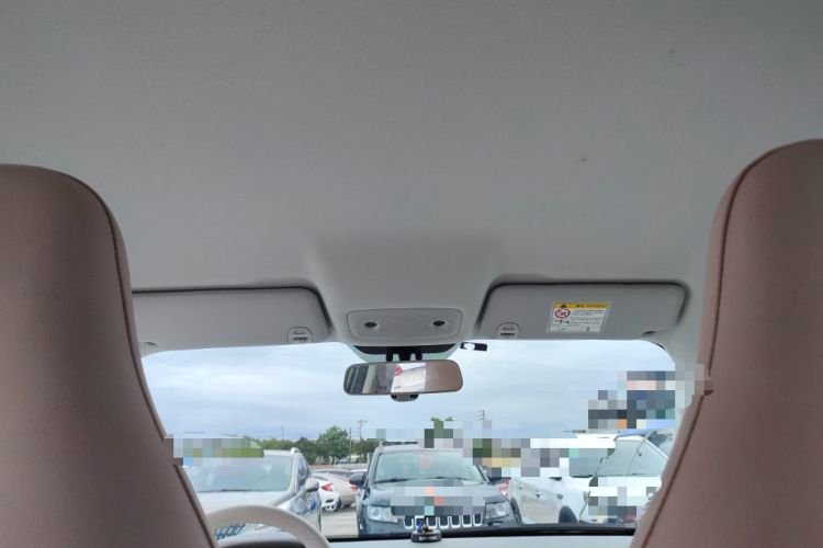 Used Leapmotor T03 2024 310 Comfort Edition Headliner