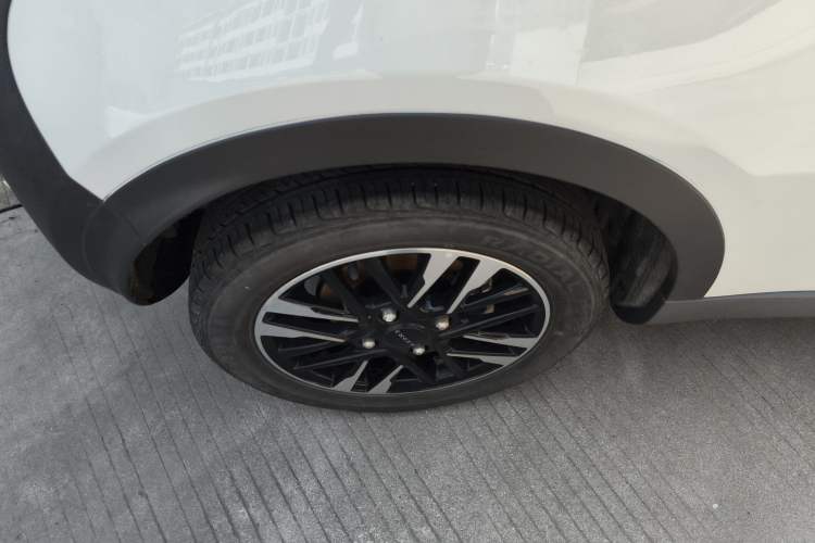 Used Chery New Energy Little Ant 2024 251km True Love Edition
