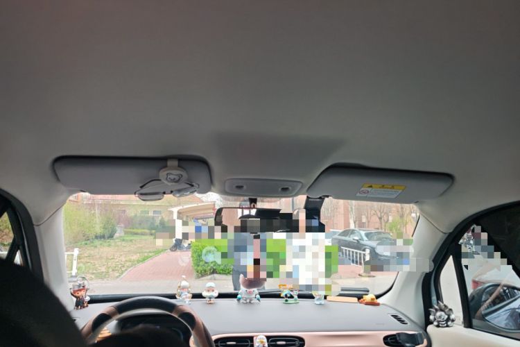 Used Leapmotor T03 2023 310 Lite Edition Headliner