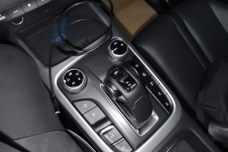 Used Tank 300 2024 2.0T Conqueror