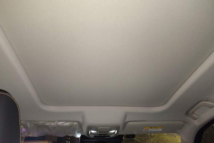 Used Haval DARGO 2024 2.0T DCT Chinese Rural Dog Edition
