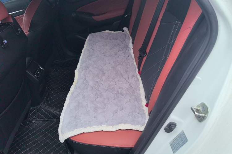 Used CHANGAN Eado 2022 PLUS Blue Whale NE 1.4T GDI DCT Prestige Edition Left Rear Seat