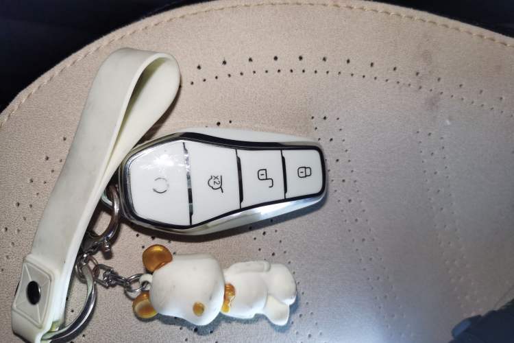 Used BYD Seagull 2025 305 km Free Version
