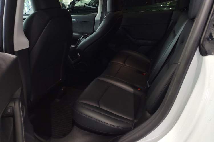 Used Tesla Model Y 2023 Rear-Wheel-Drive Version Left Rear Seat