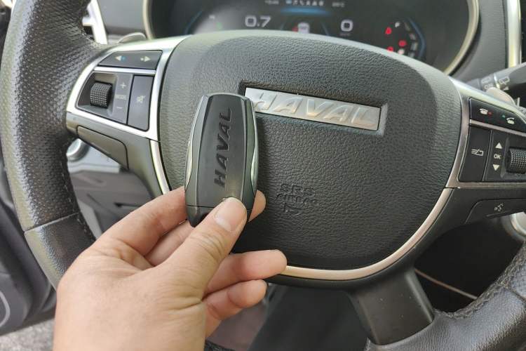 Used Haval H9 2020 2.0T Gasoline 4WD Premium Edition 5 Seats