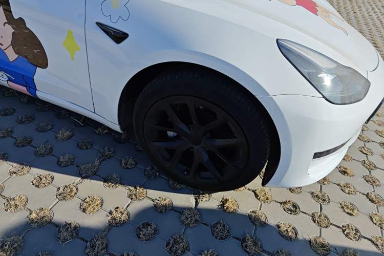 Used Tesla Model 3 2022 Rear-Wheel-Drive Version
