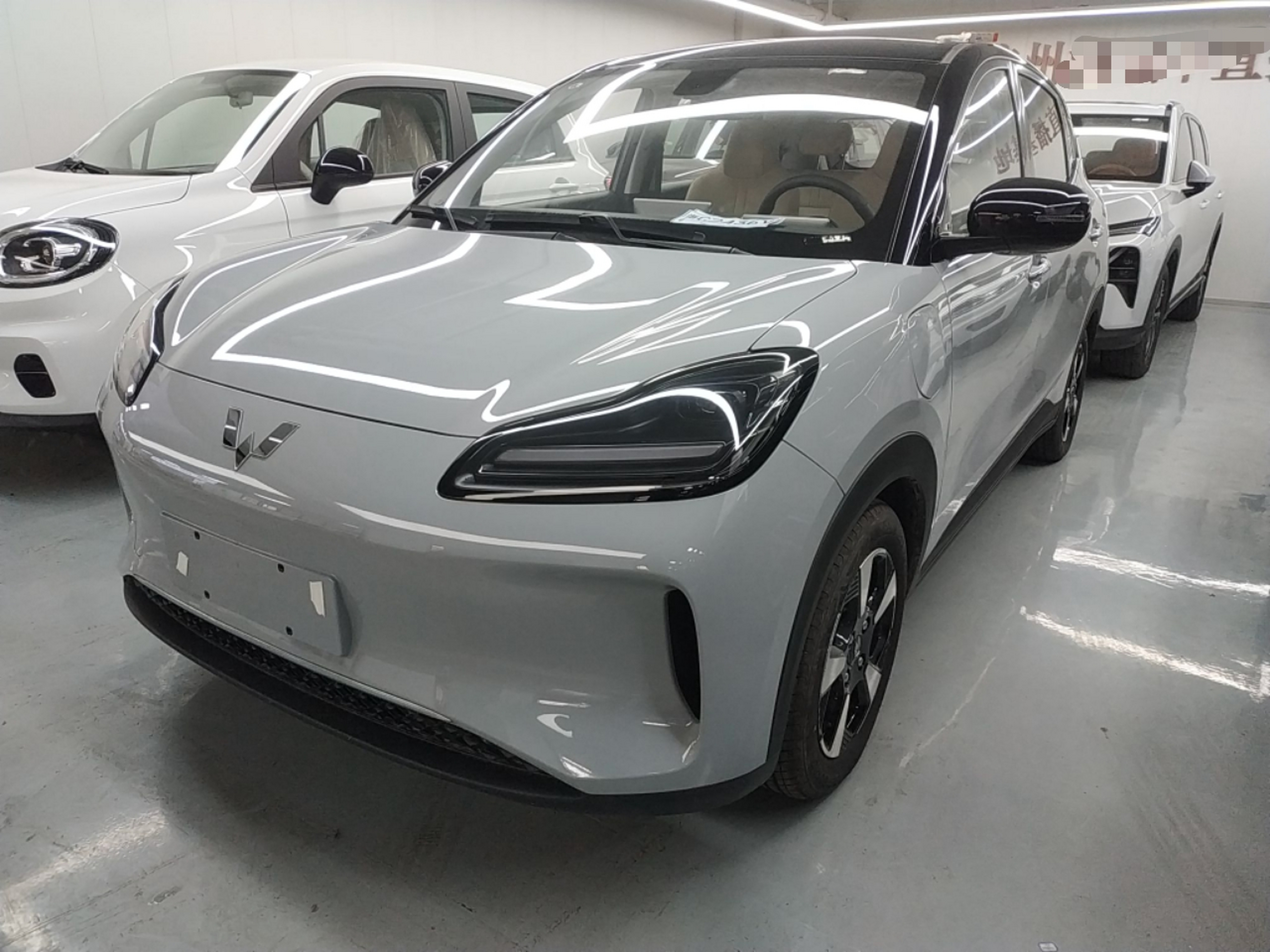 Parte inferior delantera