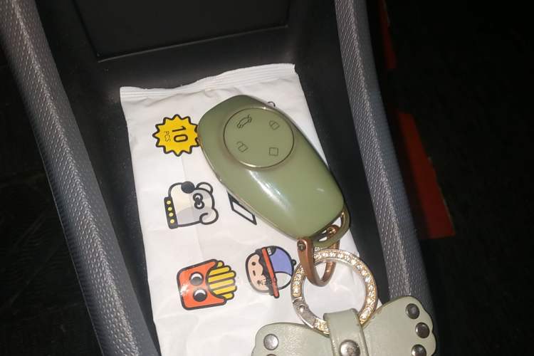 Used Leapmotor T03 2021 400 Luxury Pro Edition