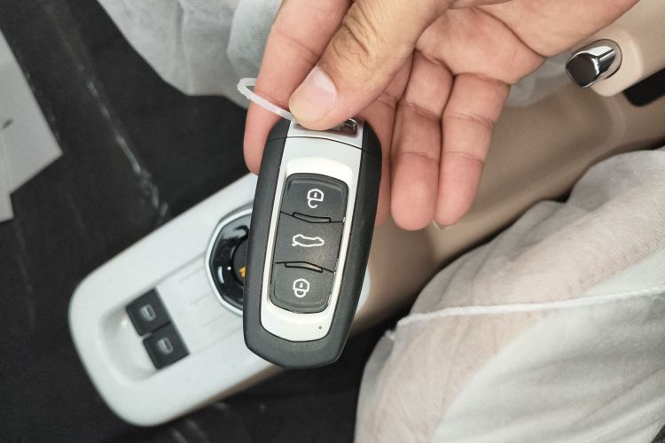 Used Geely Galaxy Panda 2024 Panda Mini 200km Endurance Bear
